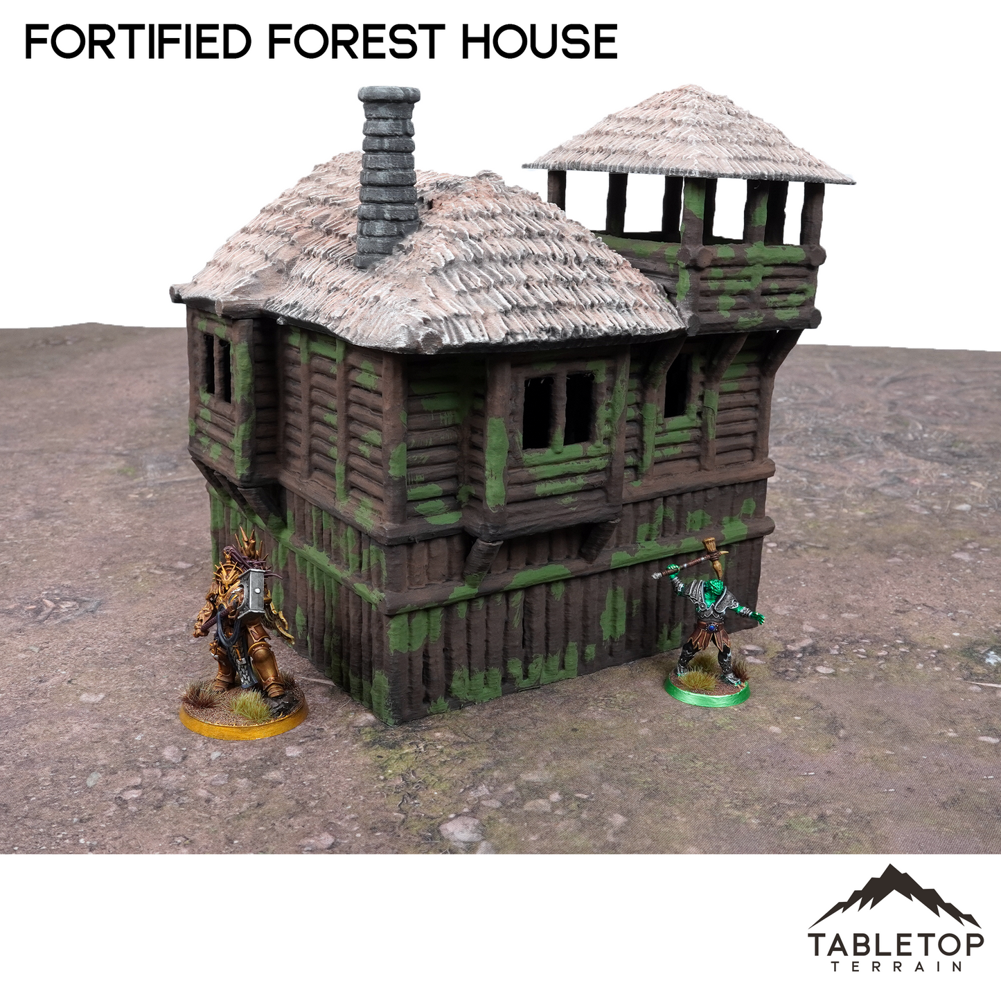 Fortified Forest House