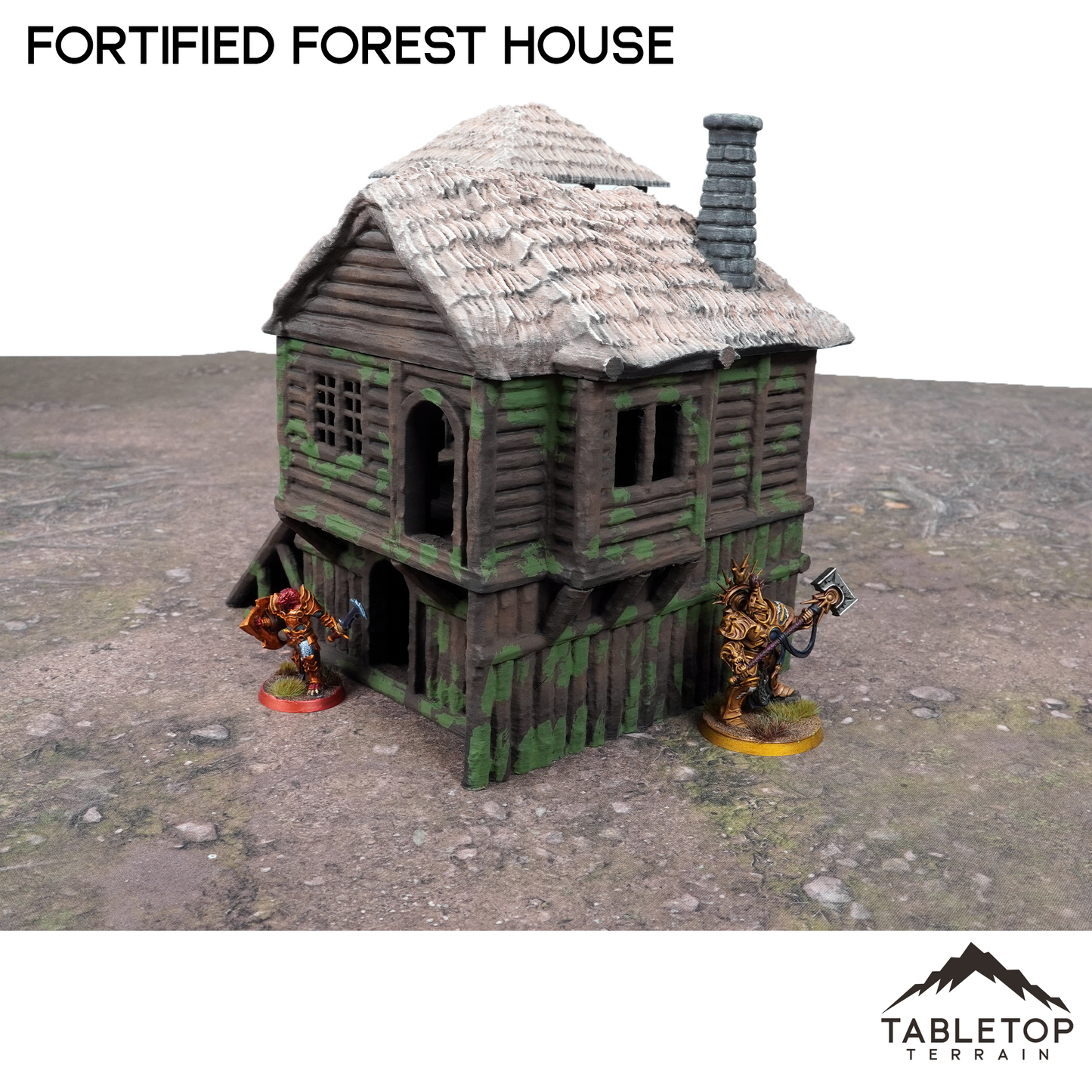 Fortified Forest House