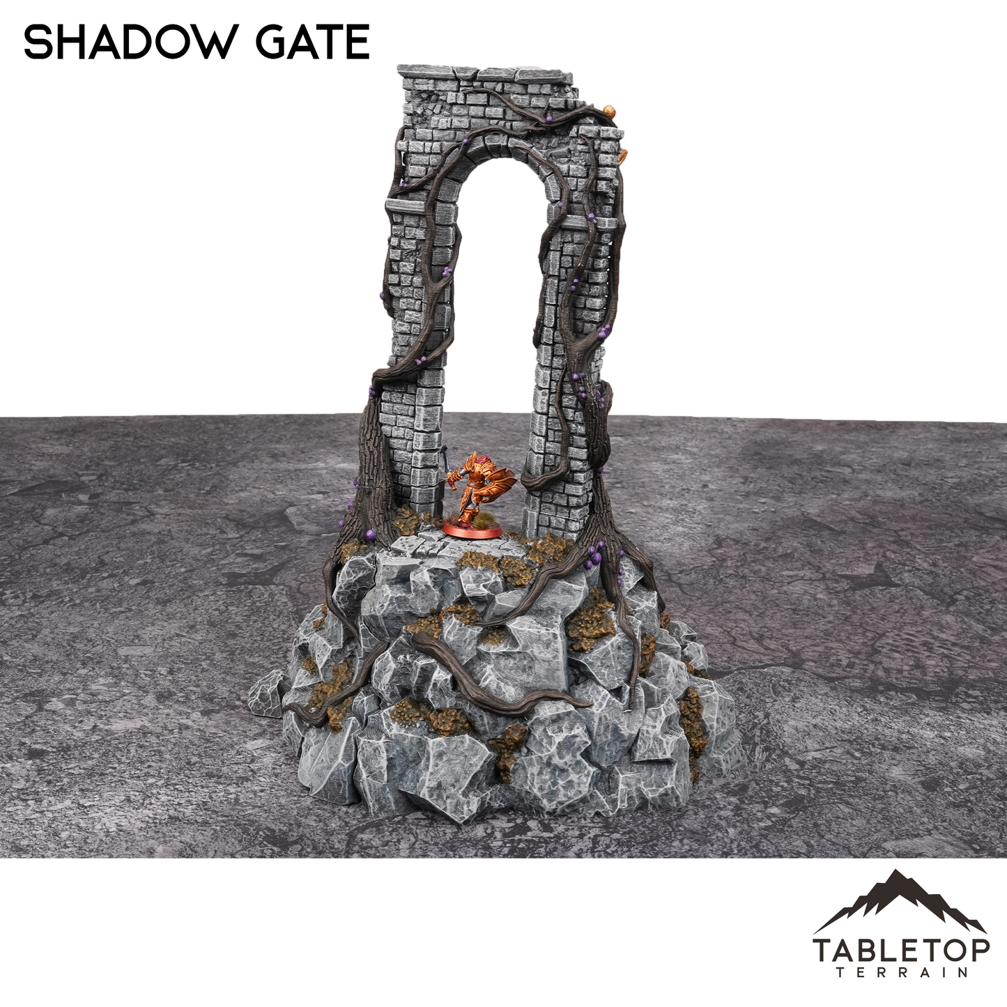 Shadow Gate - Fantasy Terrain