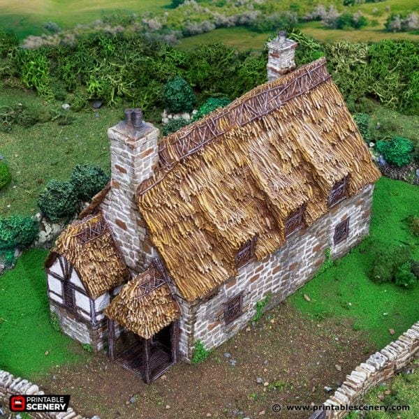 Country Manor - Country & King - Fantasy Historical Building