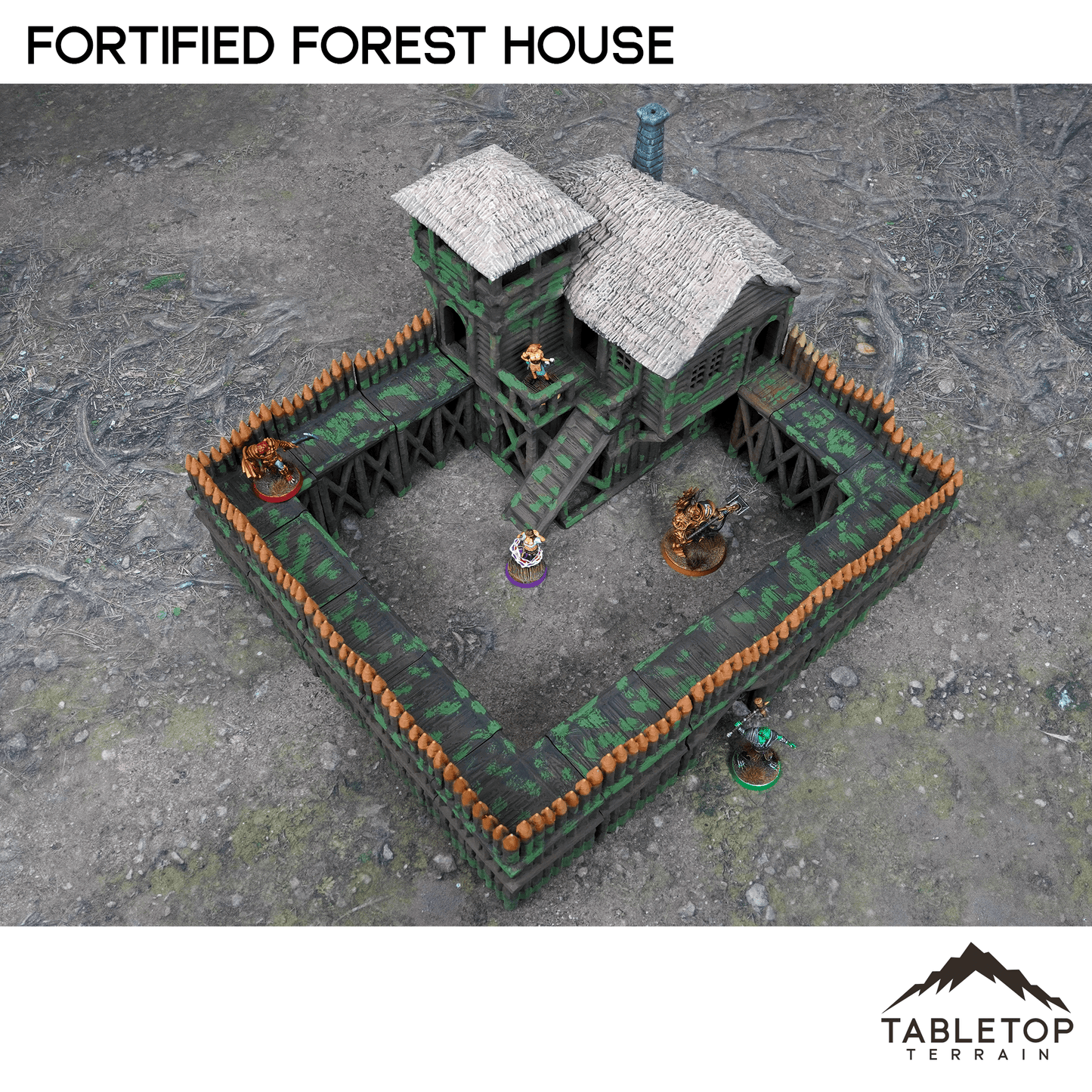 Fortified Forest House