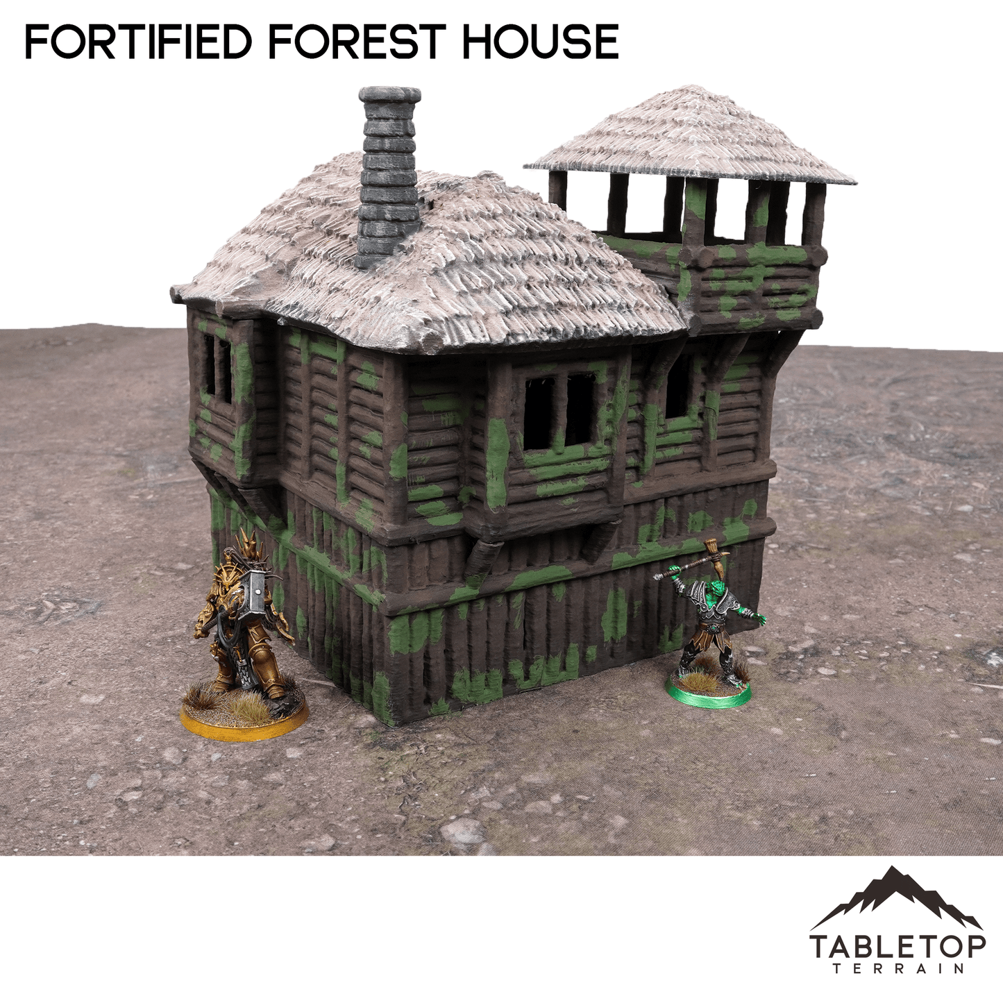 Fortified Forest House