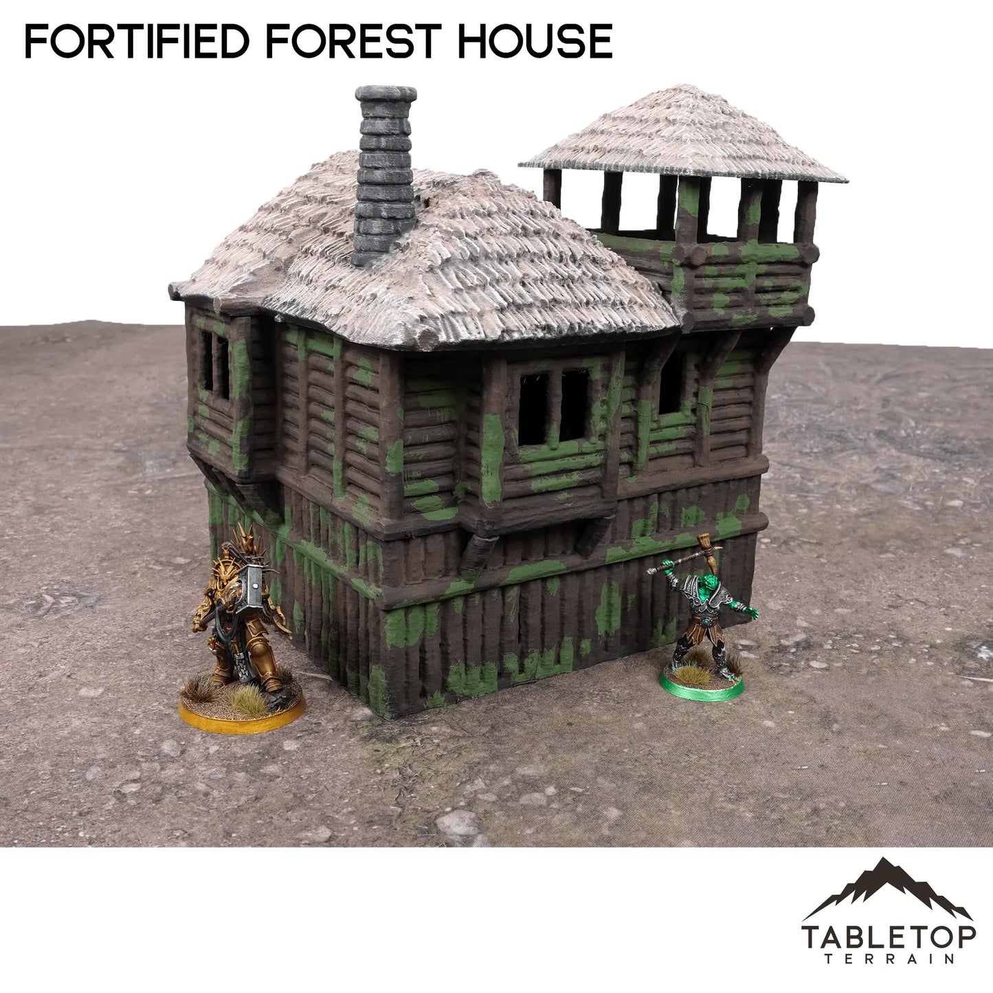 Fortified Forest House