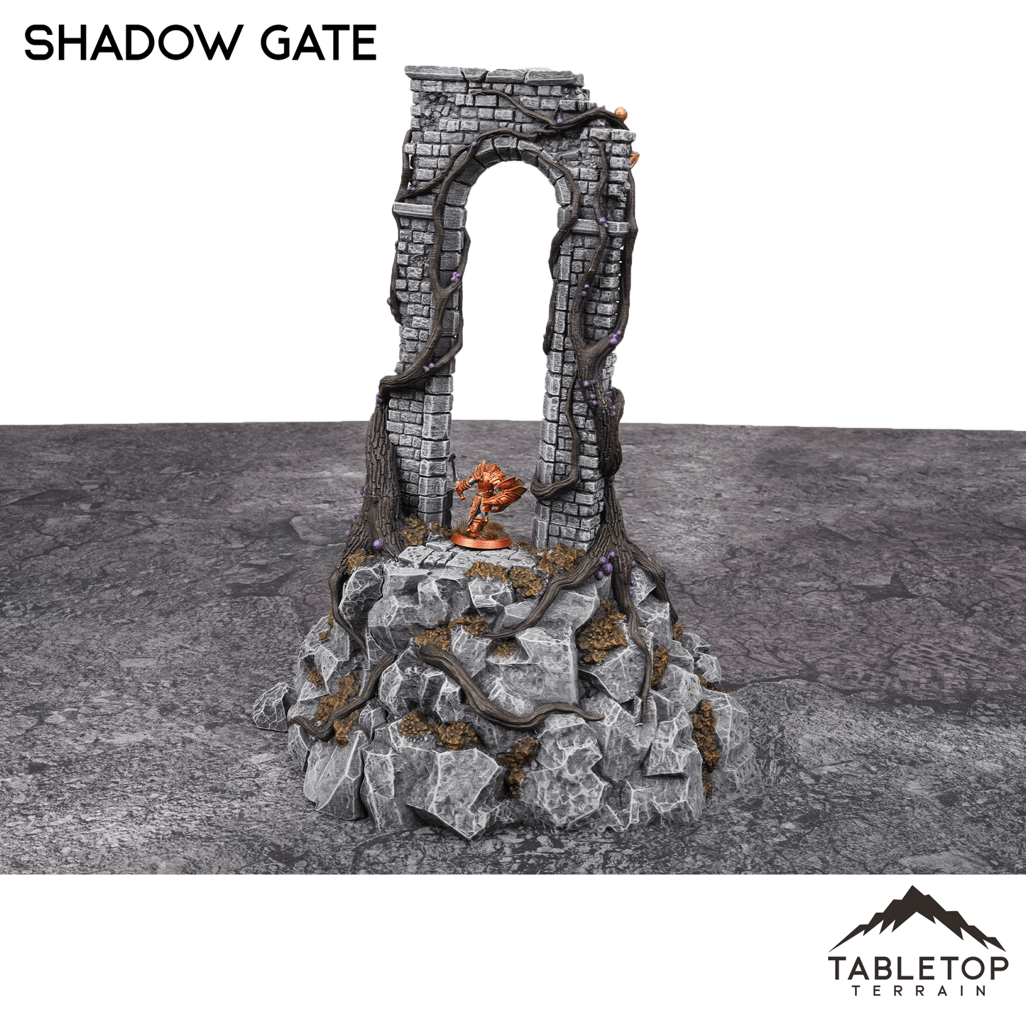 Shadow Gate - Fantasy Terrain