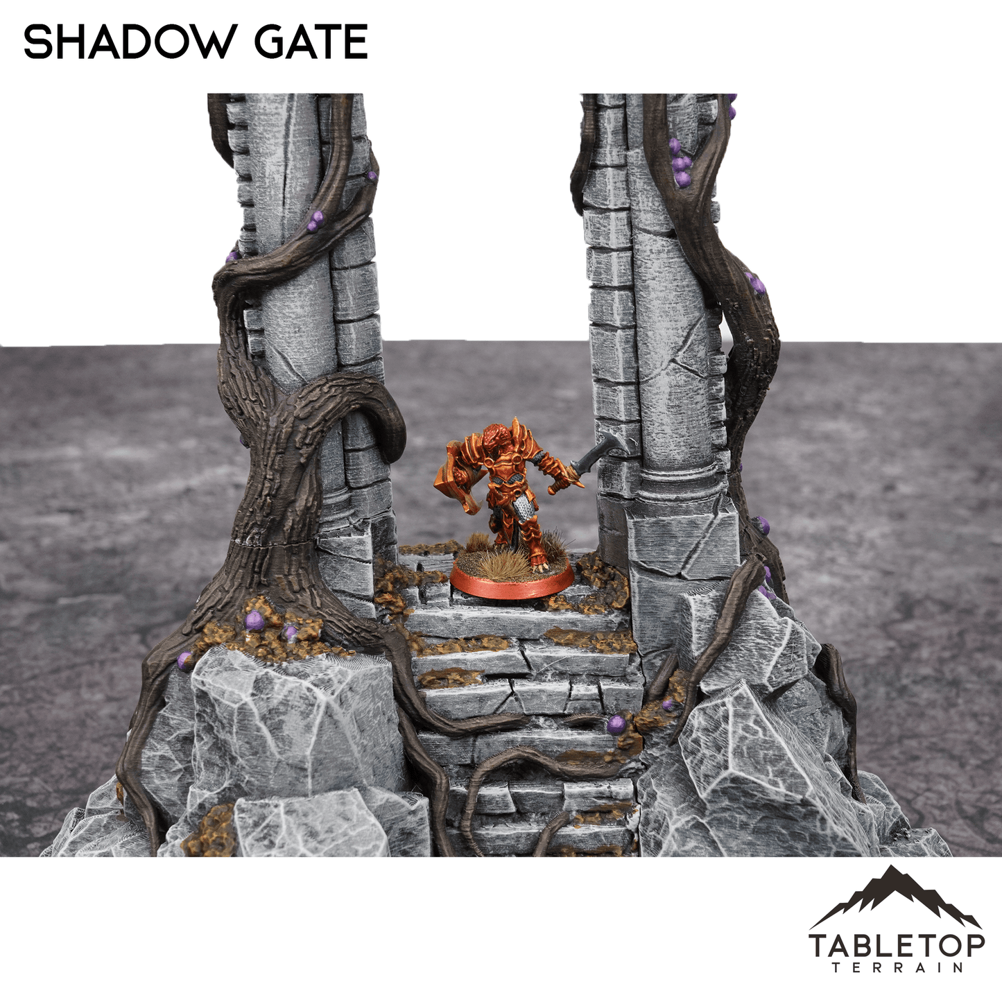 Shadow Gate - Fantasy Terrain