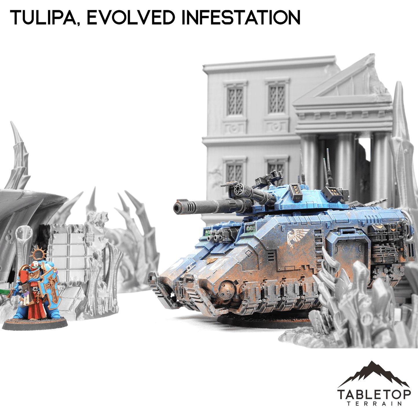 Tulipa, Evolved Infestation